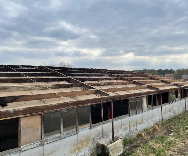 asbest golfplaten dak verwijderen